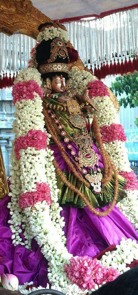 Kanchi_Sri_Varadaraja_Perumal_Temple_Thiruvaadipooram_Day7_01