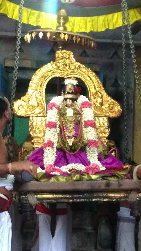 Kanchi_Sri_Varadaraja_Perumal_Temple_Thiruvaadipooram_Day7_03