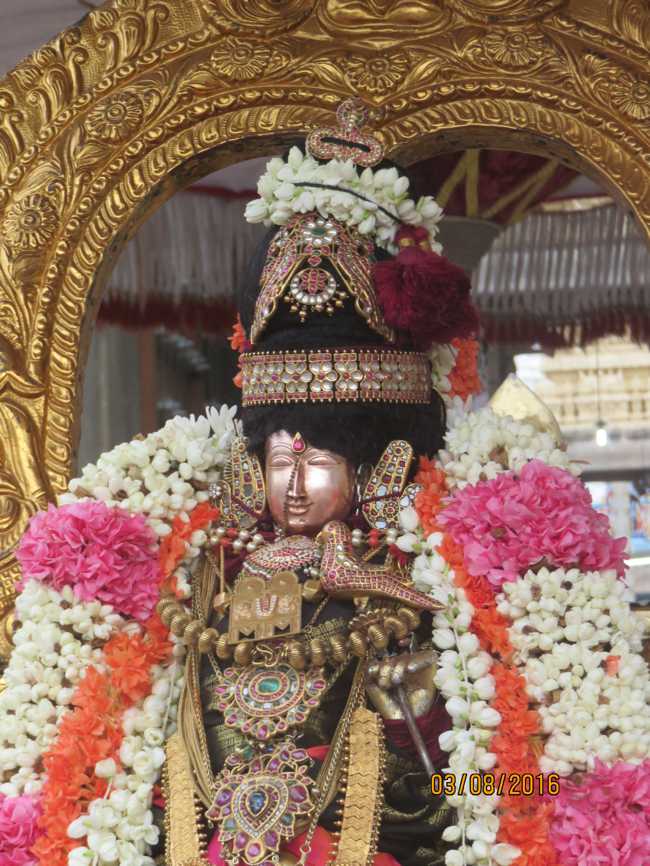 Kanchi_Sri_Varadaraja_Perumal_Temple_Thiruvaadipooram_Day8_02