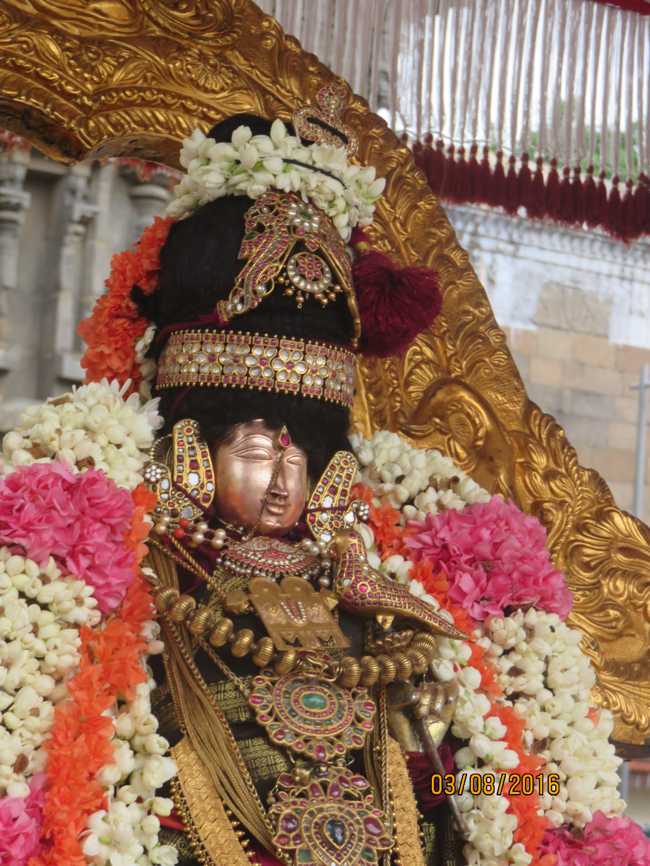 Kanchi_Sri_Varadaraja_Perumal_Temple_Thiruvaadipooram_Day8_03