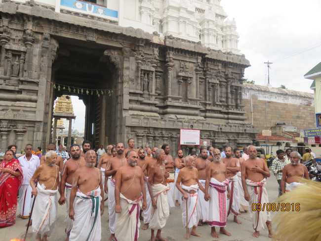 Kanchi_Sri_Varadaraja_Perumal_Temple_Thiruvaadipooram_Day8_04