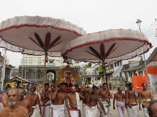Kanchi_Sri_Varadaraja_Perumal_Temple_Thiruvaadipooram_Day8_06