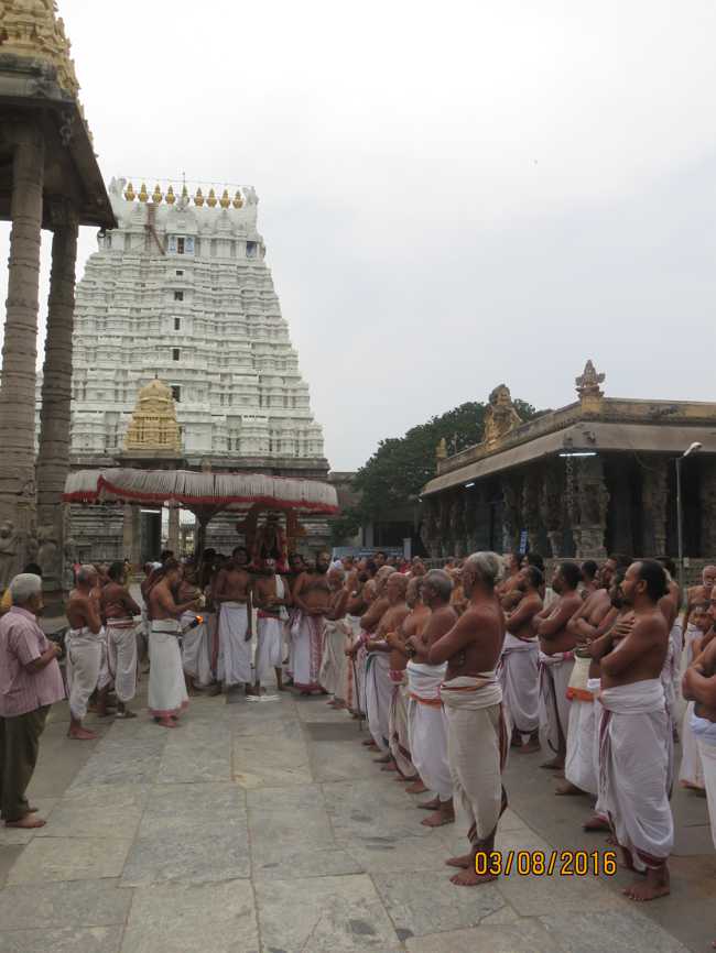 Kanchi_Sri_Varadaraja_Perumal_Temple_Thiruvaadipooram_Day8_11