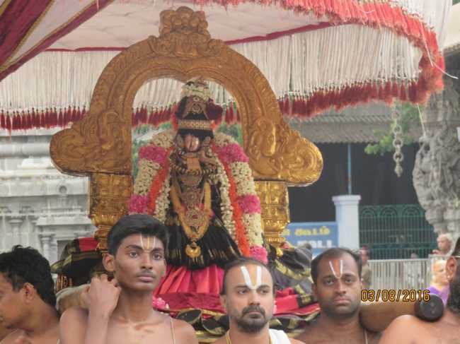 Kanchi_Sri_Varadaraja_Perumal_Temple_Thiruvaadipooram_Day8_12