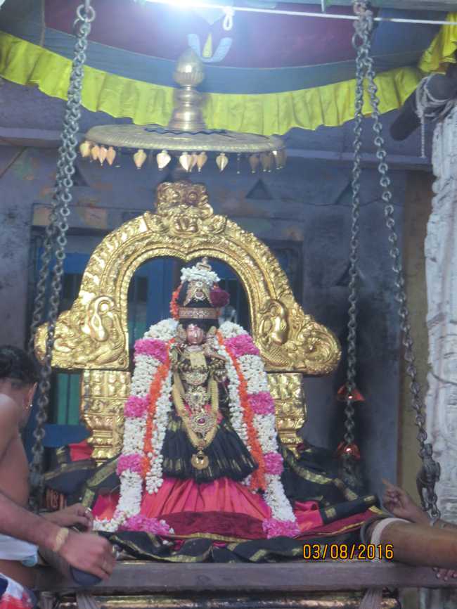 Kanchi_Sri_Varadaraja_Perumal_Temple_Thiruvaadipooram_Day8_15