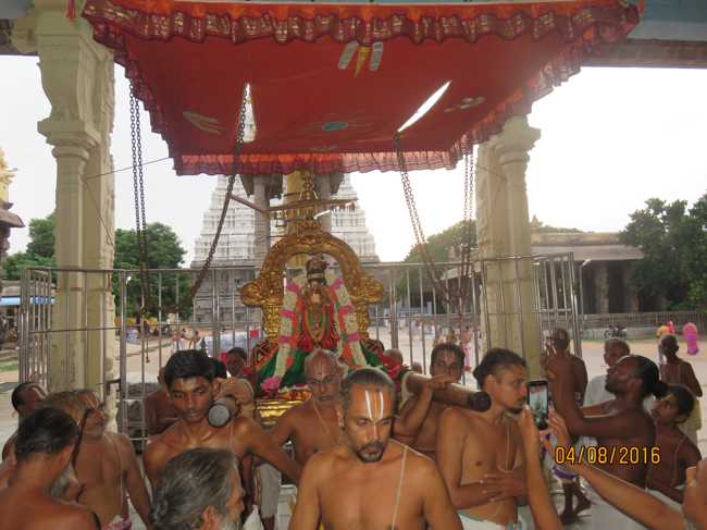 Kanchi_Sri_Varadaraja_Perumal_Temple_Thiruvaadipooram_Day9_02