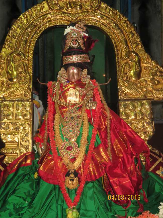 Kanchi_Sri_Varadaraja_Perumal_Temple_Thiruvaadipooram_Day9_09