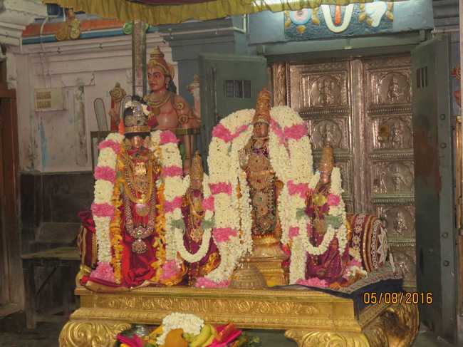 Kanchi_Sri_Varadaraja_Perumal_Temple_Thiruvaadipooram_Thirukkalyanam_22
