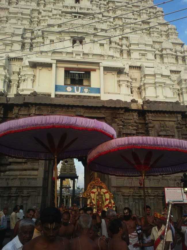 Kanchi_Varadaraja_Perumal_Temple_Aadi_Pooram_03