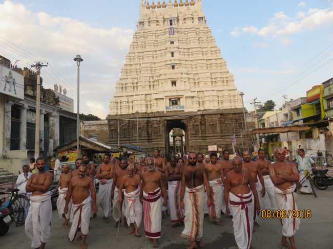Kanchi_Varadaraja_Perumal_Temple_Aadi_Pooram_05