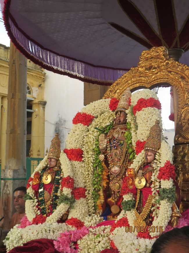 Kanchi_Varadaraja_Perumal_Temple_Aadi_Pooram_08