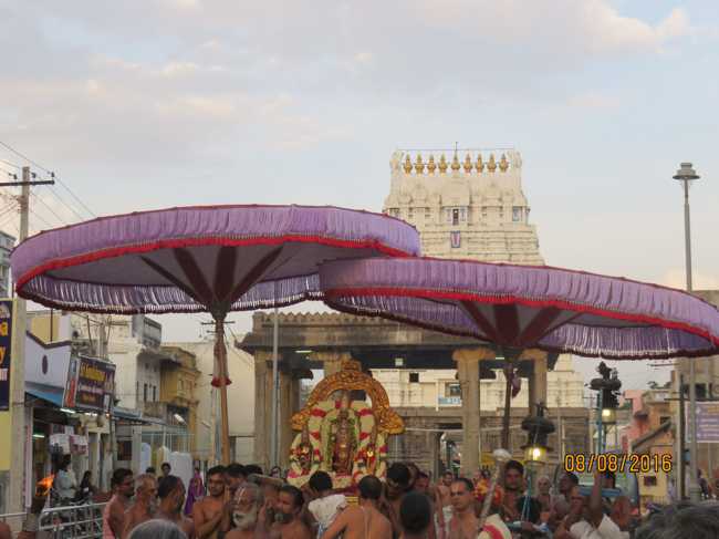 Kanchi_Varadaraja_Perumal_Temple_Aadi_Pooram_10