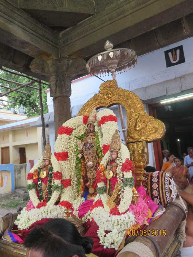 Kanchi_Varadaraja_Perumal_Temple_Aadi_Pooram_16