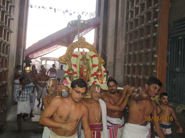 Kanchi_Varadaraja_Perumal_Temple_Aadi_Pooram_19