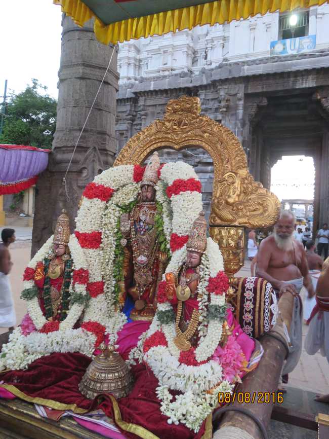 Kanchi_Varadaraja_Perumal_Temple_Aadi_Pooram_22