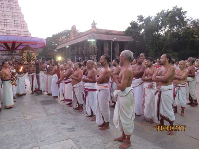 Kanchi_Varadaraja_Perumal_Temple_Aadi_Pooram_23