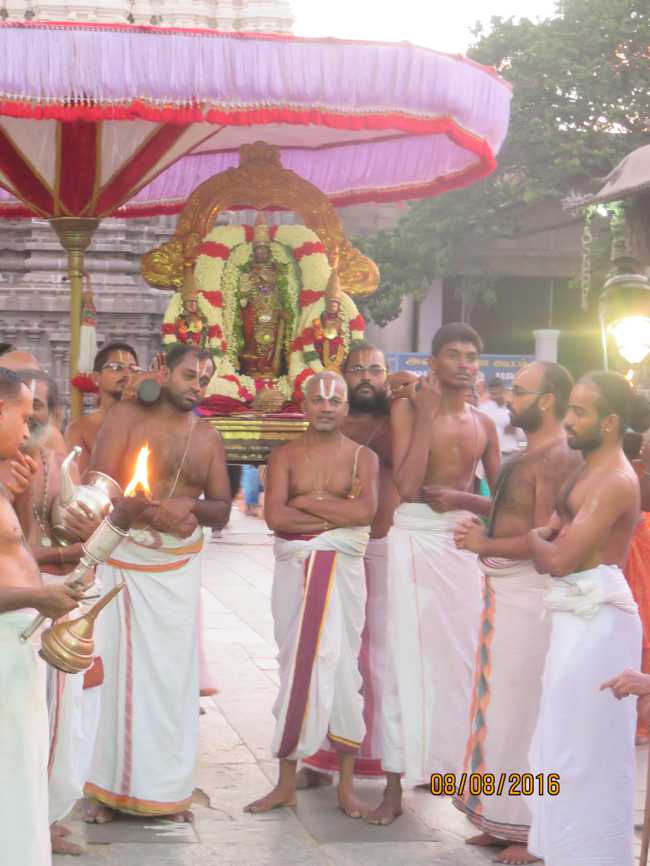 Kanchi_Varadaraja_Perumal_Temple_Aadi_Pooram_24