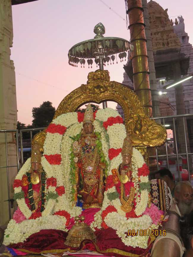 Kanchi_Varadaraja_Perumal_Temple_Aadi_Pooram_26