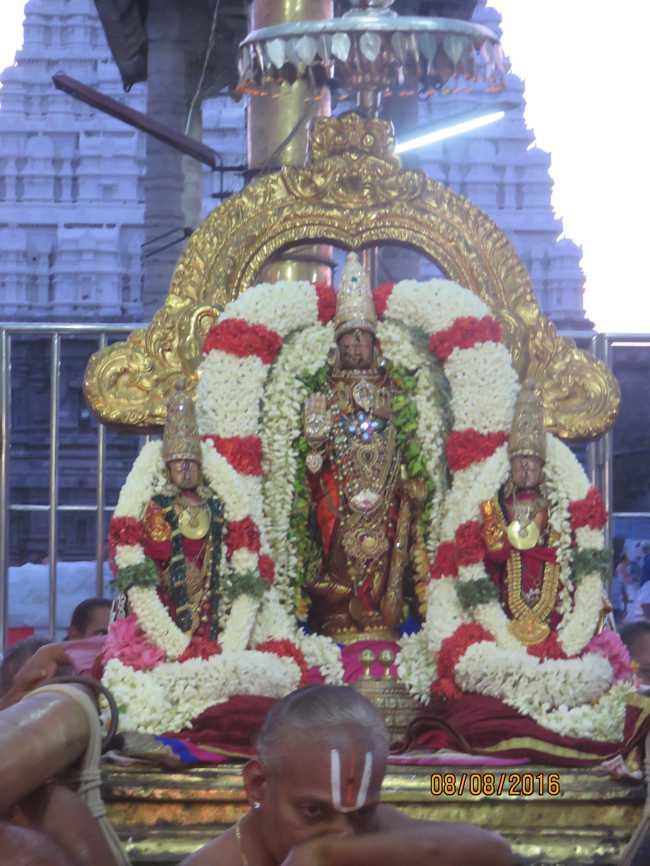 Kanchi_Varadaraja_Perumal_Temple_Aadi_Pooram_27