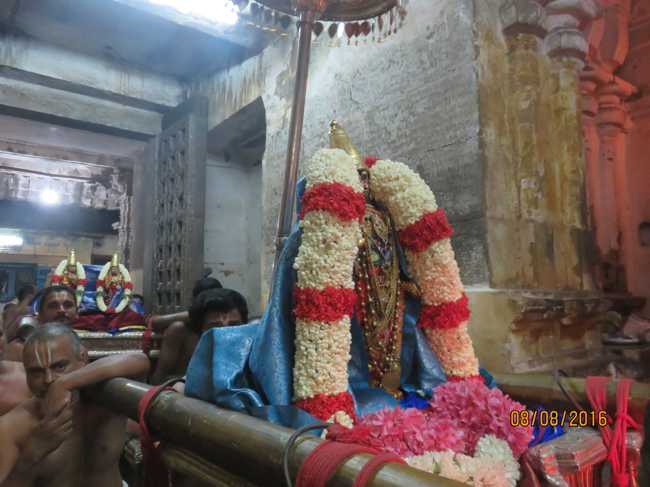 Kanchi_Varadaraja_Perumal_Temple_Aadi_Pooram_29