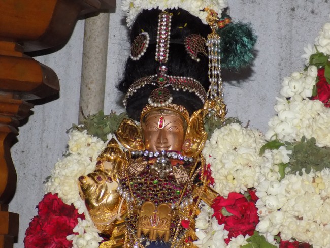 Madipakkam Sri Oppiliappan Pattabhisheka Ramar Temple Durmukhi Varusha Thiruvaadipooram ThiruKalyanam6