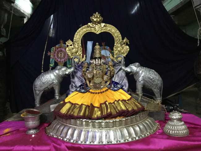 Mannargudi_Sri_Rajagopalaswami_Temple_10