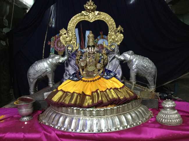 Mannargudi_Sri_Rajagopalaswami_Temple_11