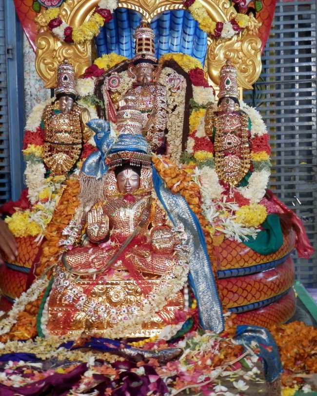 Sriperumbudur_Sri_Srinivasa_Perumal_Temple_10
