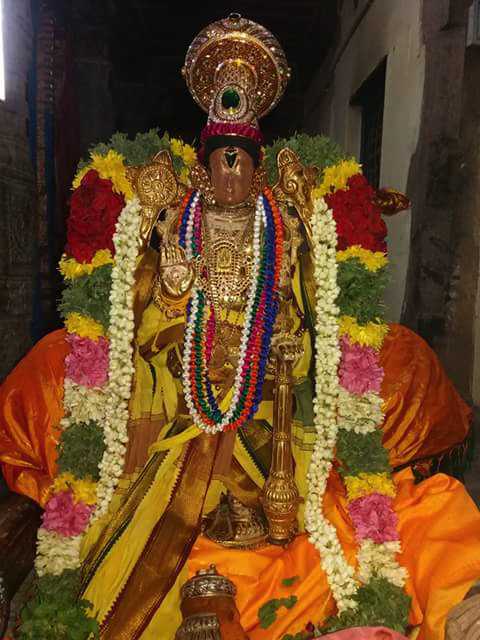 Thirukkudathai_Pavithrotsavam_Sr_Aravamudhan_Perumal_Temple_00