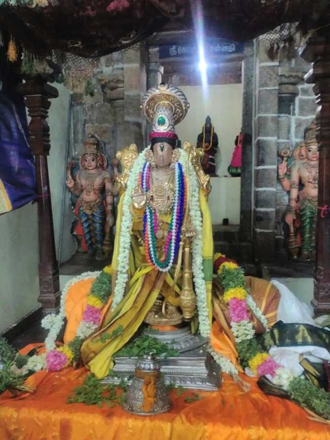 Thirukkudathai_Pavithrotsavam_Sr_Aravamudhan_Perumal_Temple_04