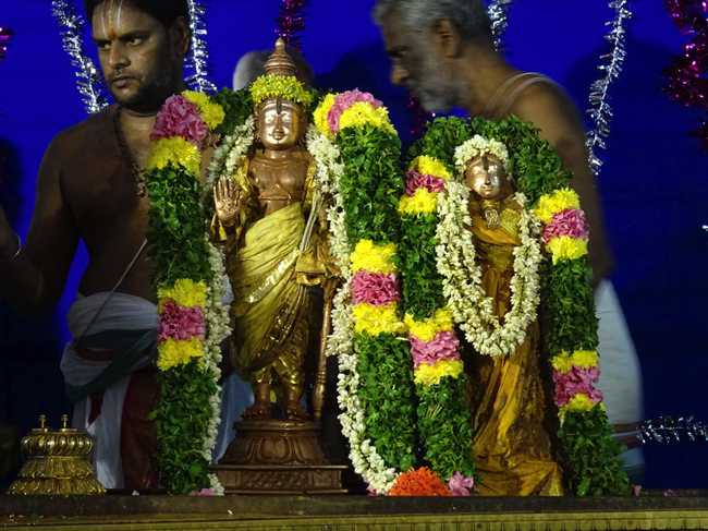Thiruvahindrapuram_Aadi_Pooram_12