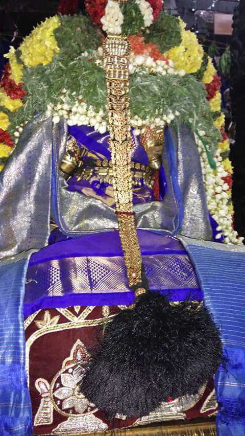 Thiruvallur_Sri_Veeraraghava_Perumal_Temple_Aadi_Pooram_00