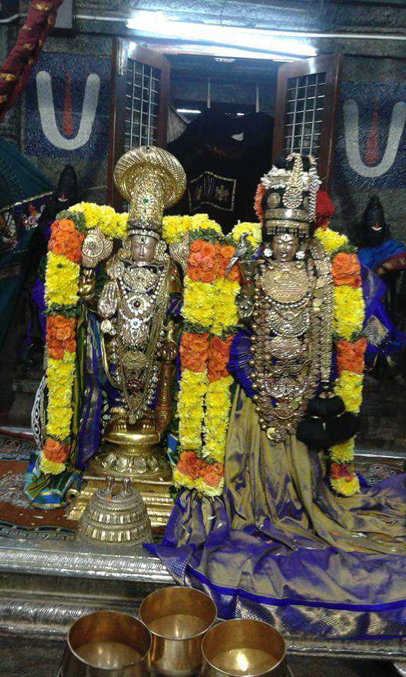 Thiruvallur_Sri_Veeraraghava_Perumal_Temple_Aadi_Pooram_02
