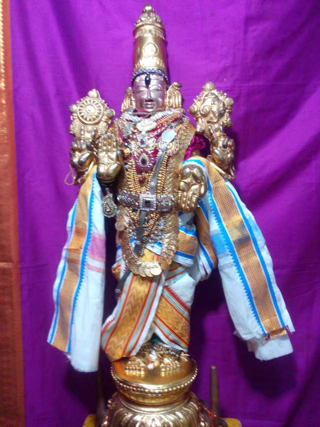 Thiruvelukkai_Sri_Azhagiyasingaperumal_Temple_Aadi_Pooram_15