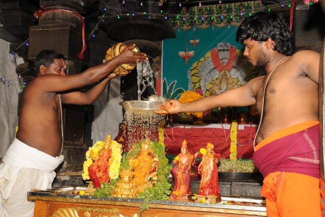antarvedi-lakshmi-narasimha-swamy-pavithrotsavam-2016008