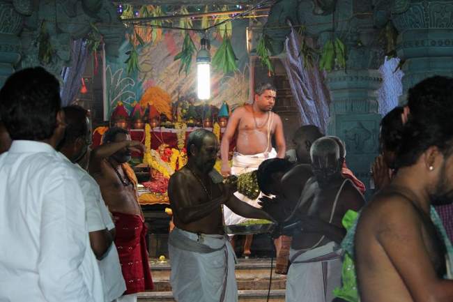 antarvedi-lakshmi-narasimha-swamy-pavithrotsavam-2016011