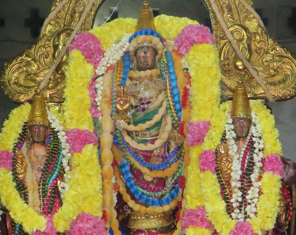 kanchi-devaperumal-kovil-pavithrotsavam-day-4-2016