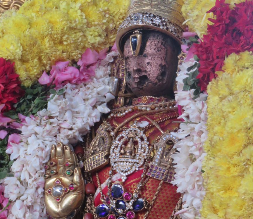 kanchi-devaperumal-avani-ammavasai-purappadu-2016