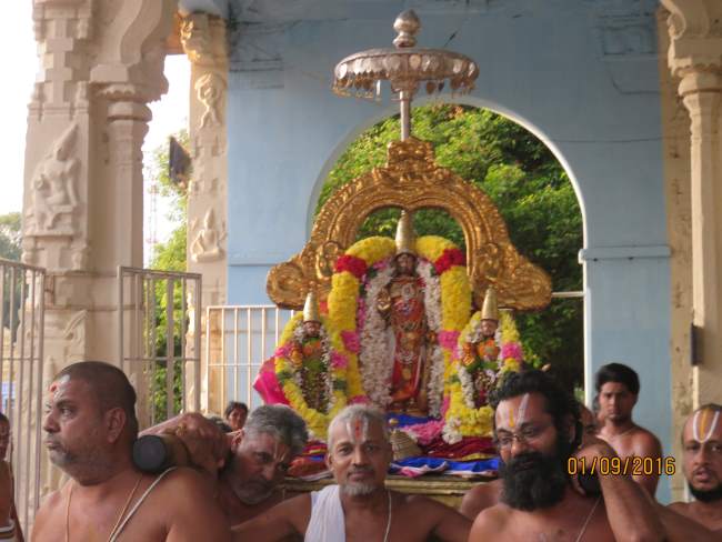 kanchi-devaperumal-sannadhi-avani-ammavasai-purappadu-2016005