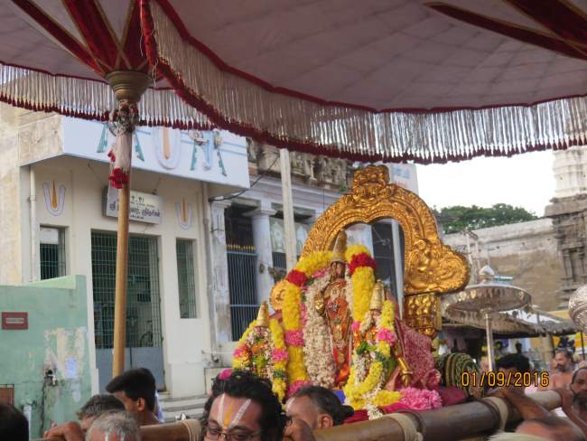 kanchi-devaperumal-sannadhi-avani-ammavasai-purappadu-2016012
