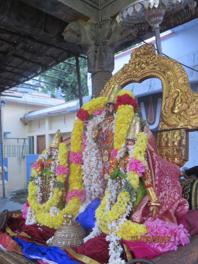 kanchi-devaperumal-sannadhi-avani-ammavasai-purappadu-2016018