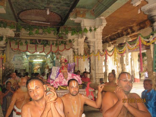 kanchi-devaperumal-sannadhi-uriyadi-utsavam-morning-2016001