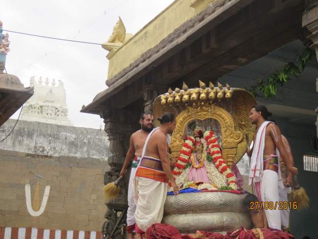kanchi-devaperumal-sannadhi-uriyadi-utsavam-morning-2016004