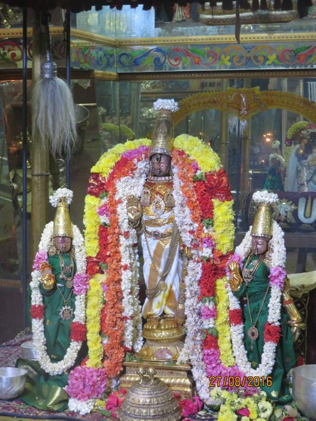 kanchi-devaperumal-sannadhi-uriyadi-utsavam-morning-2016013