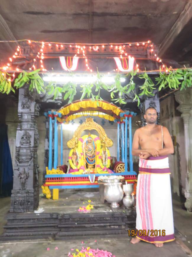 kanchi-devarajaswami-temple-pavithrotsavam-day-4-2016009