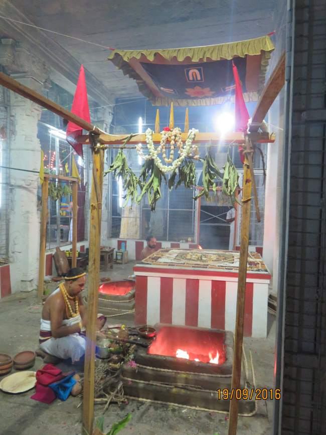 kanchi-devarajaswami-temple-pavithrotsavam-day-4-2016015