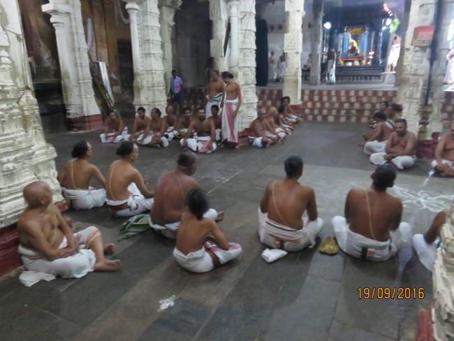 kanchi-devarajaswami-temple-pavithrotsavam-day-4-2016016