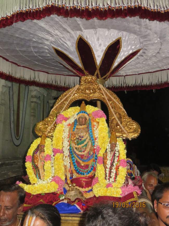 kanchi-devarajaswami-temple-pavithrotsavam-day-4-2016020