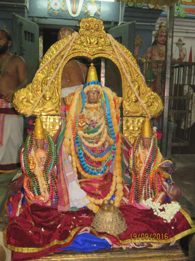 kanchi-devarajaswami-temple-pavithrotsavam-day-4-2016025