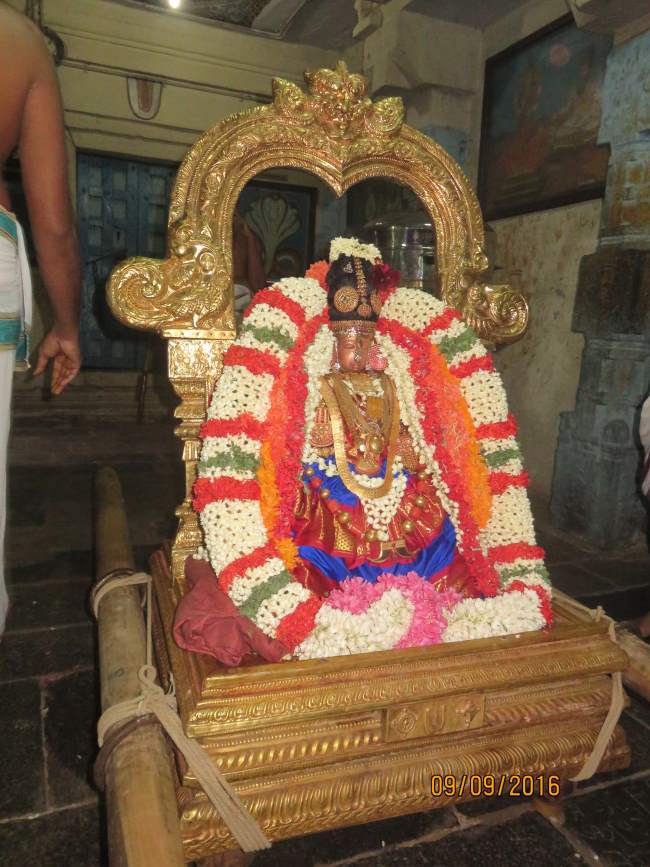 kanchi-perundhevi-thayar-avani-sukravara-purappadu-2016001